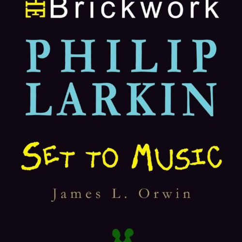Astonishing the Brickwork - book cover